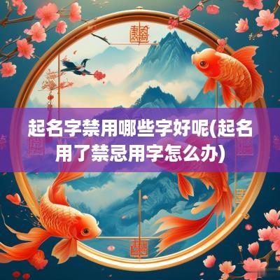 起名字禁用哪些字好呢(起名用了禁忌用字怎么办)