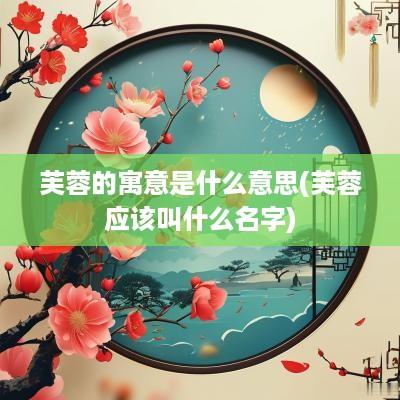 芙蓉的寓意是什么意思(芙蓉应该叫什么名字)