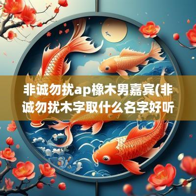 非诚勿扰ap橡木男嘉宾(非诚勿扰木字取什么名字好听)