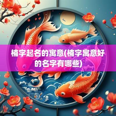 楠字起名的寓意(楠字寓意好的名字有哪些)