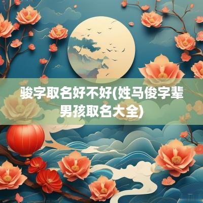 骏字取名好不好(姓马俊字辈男孩取名大全)