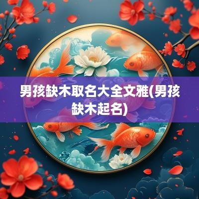 男孩缺木取名大全文雅(男孩缺木起名)