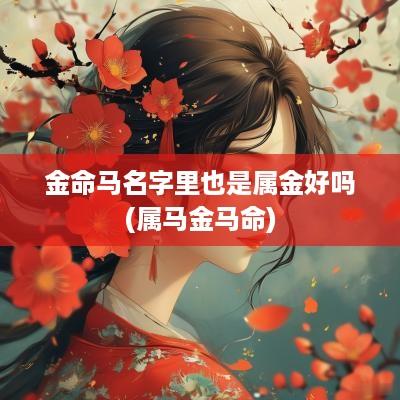 金命马名字里也是属金好吗(属马金马命)
