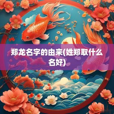 郑龙名字的由来(姓郑取什么名好)