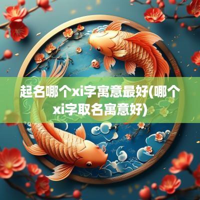 起名哪个xi字寓意最好(哪个xi字取名寓意好)