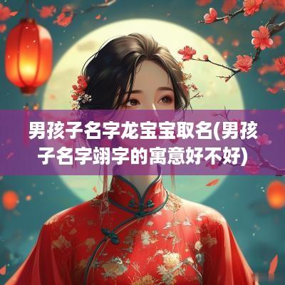 男孩子名字龙宝宝取名(男孩子名字翊字的寓意好不好)