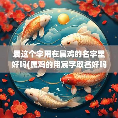 辰这个字用在属鸡的名字里好吗(属鸡的用宸字取名好吗)