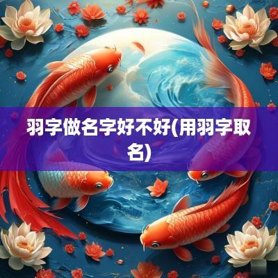 羽字做名字好不好(用羽字取名)