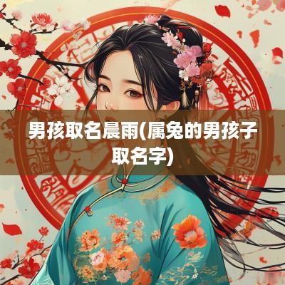 男孩取名晨雨(属兔的男孩子取名字)