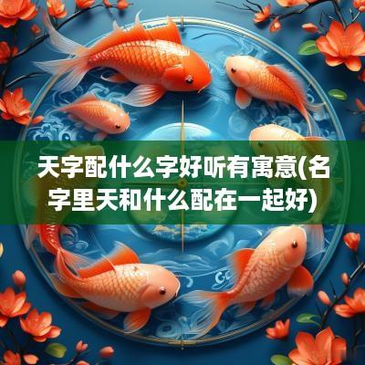 天字配什么字好听有寓意(名字里天和什么配在一起好)