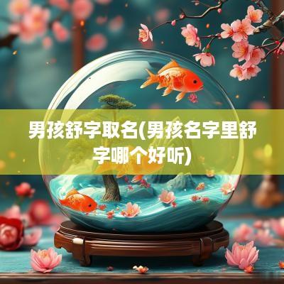 男孩舒字取名(男孩名字里舒字哪个好听)