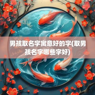男孩取名字寓意好的字(取男孩名字哪些字好)