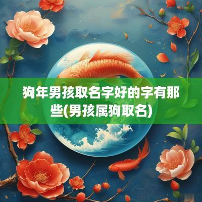 狗年男孩取名字好的字有那些(男孩属狗取名)
