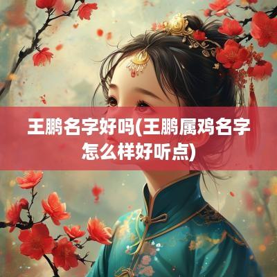 王鹏名字好吗(王鹏属鸡名字怎么样好听点)