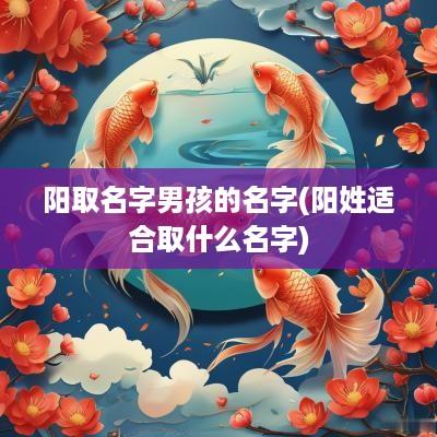 阳取名字男孩的名字(阳姓适合取什么名字)