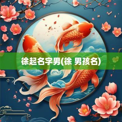 徐起名字男(徐 男孩名)