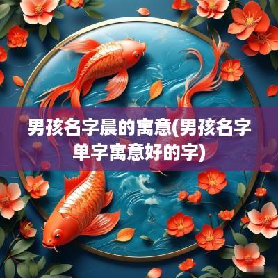 男孩名字晨的寓意(男孩名字单字寓意好的字)