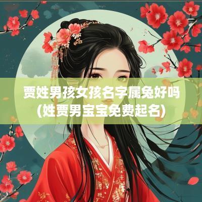 贾姓男孩女孩名字属兔好吗(姓贾男宝宝免费起名)
