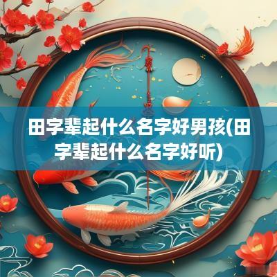 田字辈起什么名字好男孩(田字辈起什么名字好听)