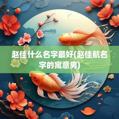 赵佳什么名字最好(赵佳航名字的寓意男)