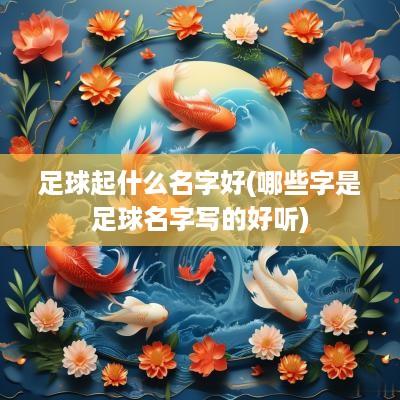 足球起什么名字好(哪些字是足球名字写的好听)