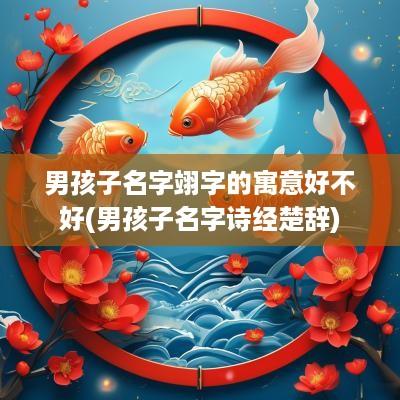 男孩子名字翊字的寓意好不好(男孩子名字诗经楚辞)
