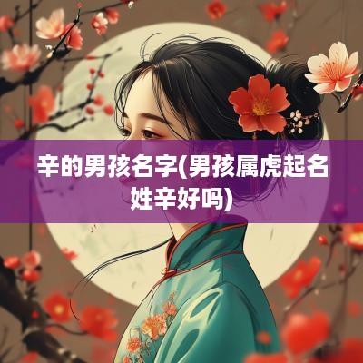 辛的男孩名字(男孩属虎起名姓辛好吗)