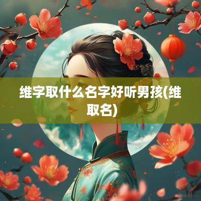 维字取什么名字好听男孩(维 取名)