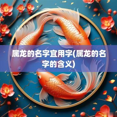 属龙的名字宜用字(属龙的名字的含义)