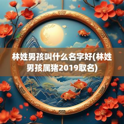 林姓男孩叫什么名字好(林姓男孩属猪2019取名)