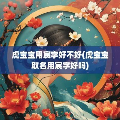 虎宝宝用宸字好不好(虎宝宝取名用宸字好吗)