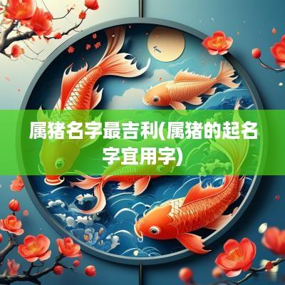 属猪名字最吉利(属猪的起名字宜用字)