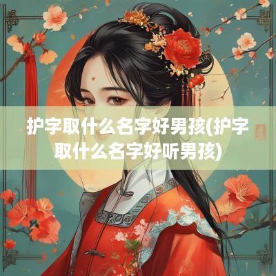 护字取什么名字好男孩(护字取什么名字好听男孩)