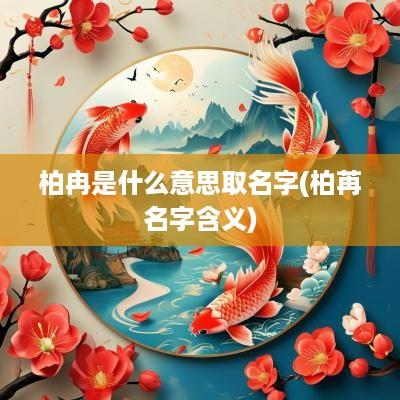 柏冉是什么意思取名字(柏苒名字含义)