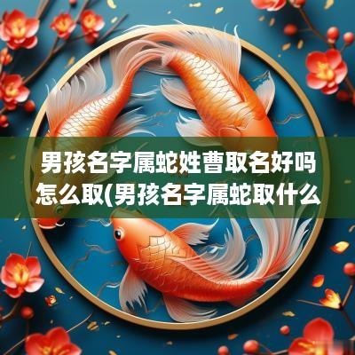 男孩名字属蛇姓曹取名好吗怎么取(男孩名字属蛇取什么好)