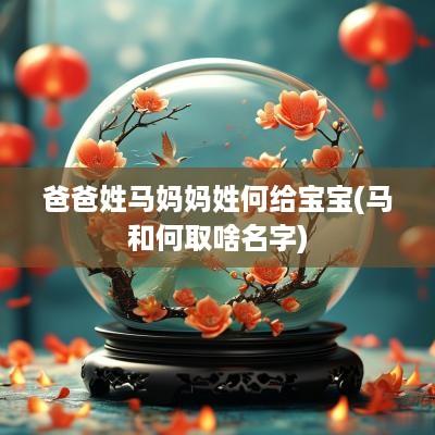爸爸姓马妈妈姓何给宝宝(马和何取啥名字)
