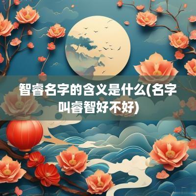 智睿名字的含义是什么(名字叫睿智好不好)
