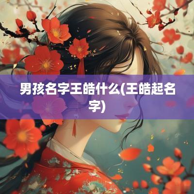 男孩名字王皓什么(王皓起名字)