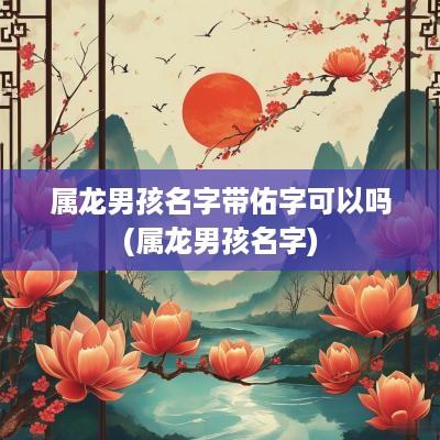 属龙男孩名字带佑字可以吗(属龙男孩名字)
