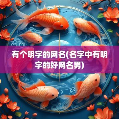 有个明字的网名(名字中有明字的好网名男)