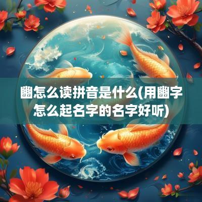 豳怎么读拼音是什么(用豳字怎么起名字的名字好听)
