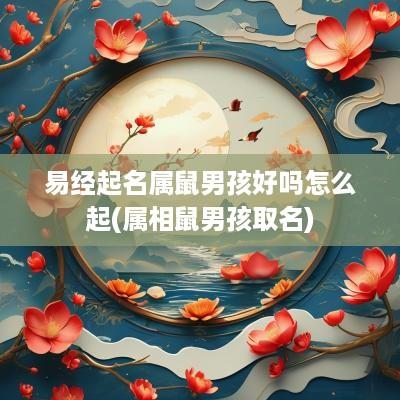 易经起名属鼠男孩好吗怎么起(属相鼠男孩取名)