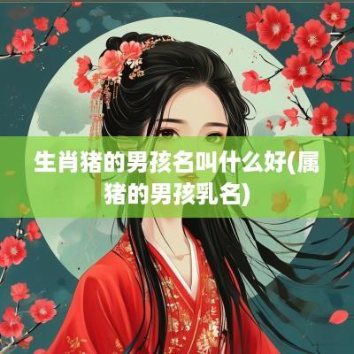 生肖猪的男孩名叫什么好(属猪的男孩乳名)