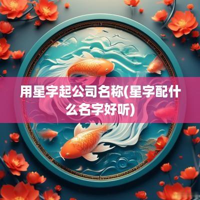 用星字起公司名称(星字配什么名字好听)