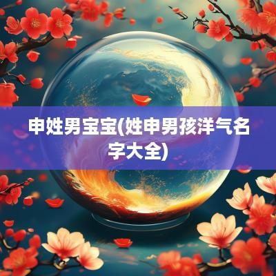 申姓男宝宝(姓申男孩洋气名字大全)