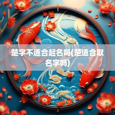 楚字不适合起名吗(楚适合取名字吗)