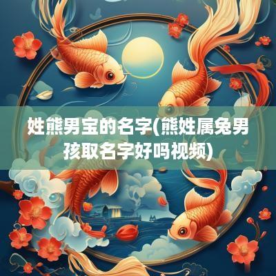 姓熊男宝的名字(熊姓属兔男孩取名字好吗视频)