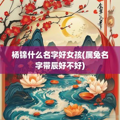杨锦什么名字好女孩(属兔名字带辰好不好)