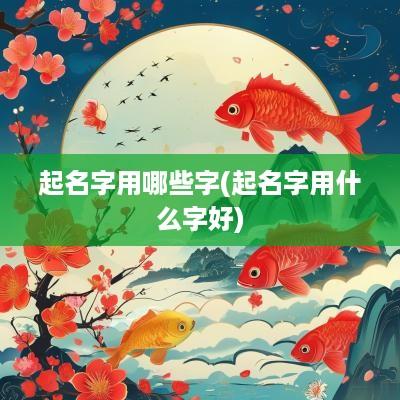 起名字用哪些字(起名字用什么字好)