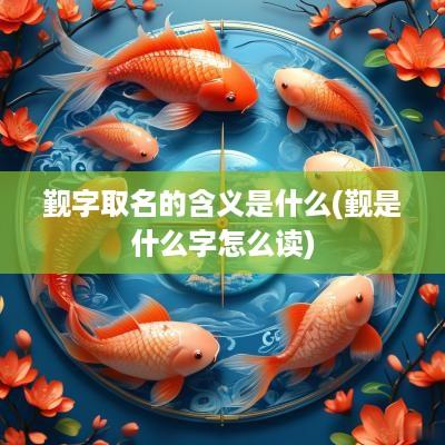 觐字取名的含义是什么(觐是什么字怎么读)